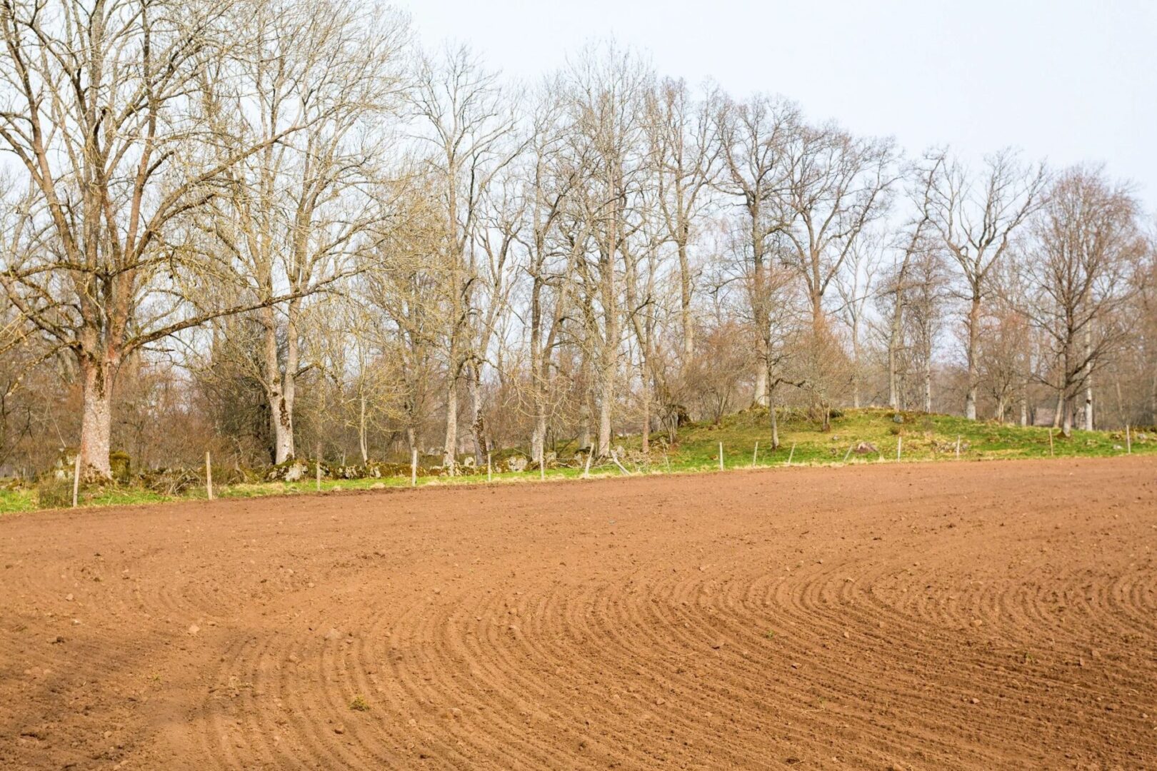 A field with no one in it is shown.