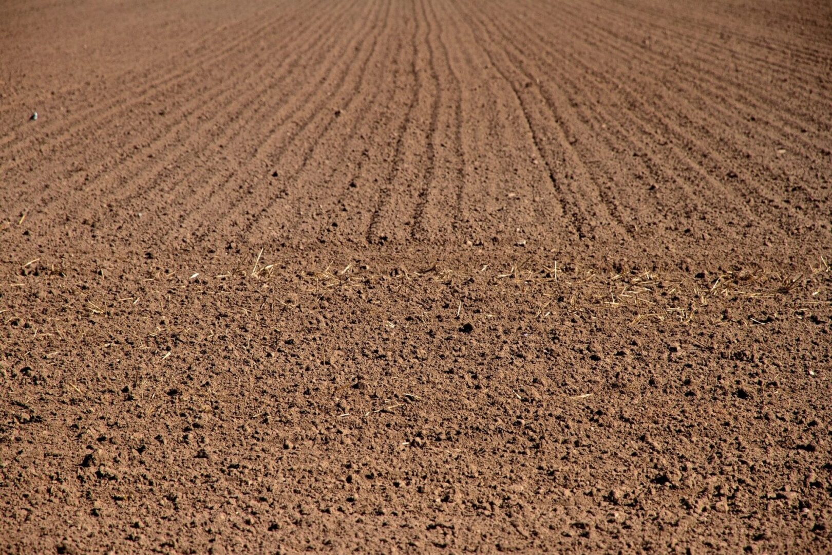 A field with no grass and brown soil