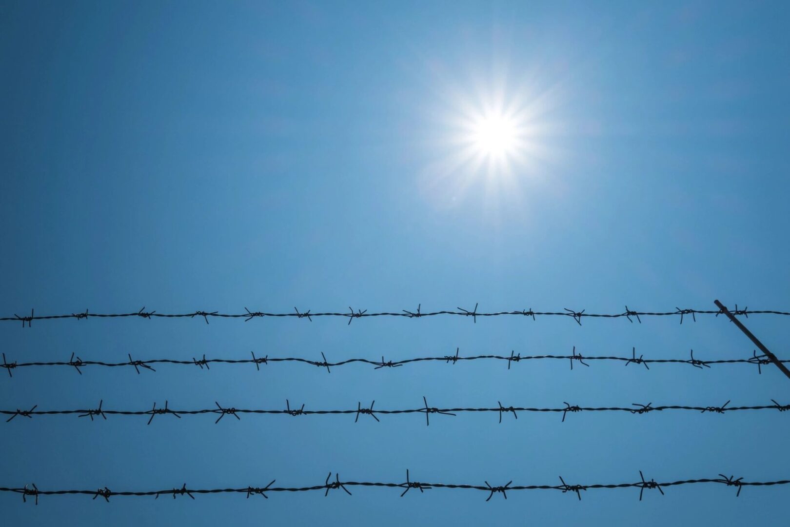 A barbed wire fence with sun shining in the background.