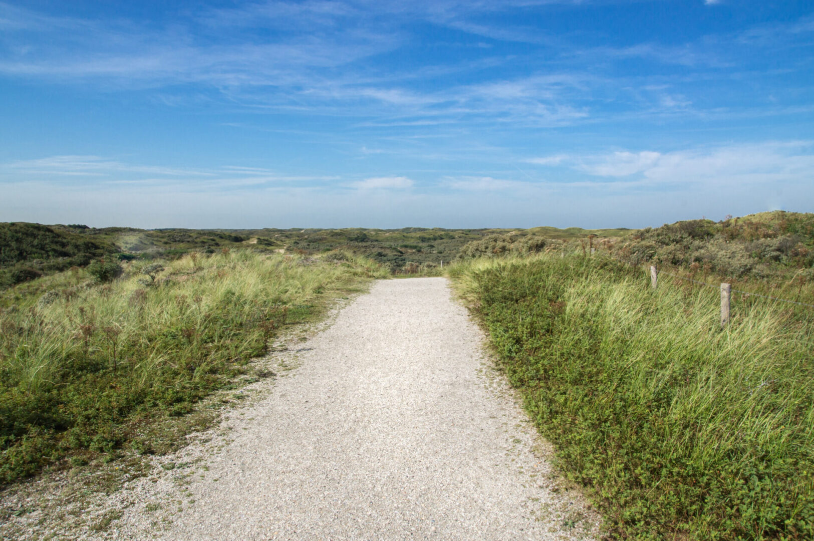 A dirt road with grass and bushes on the side.